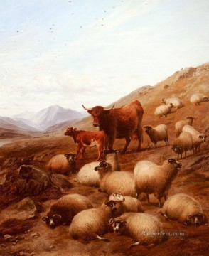  Gran Arte - En las Highlands ganado animales de granja Thomas Sidney Cooper